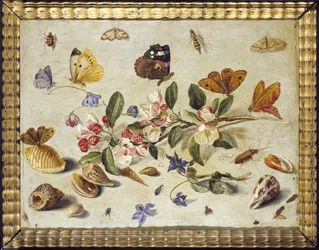 A Study of Flowers and Insects